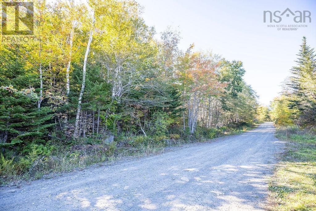 Ridge Road, Hillgrove, Nova Scotia  B0V 1A0 - Photo 2 - 202421551