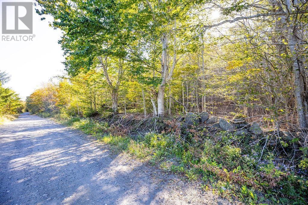 Ridge Road, Hillgrove, Nova Scotia  B0V 1A0 - Photo 5 - 202421551