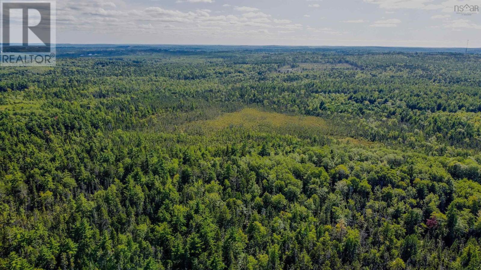 Lot (Pid 60475175) Upper Branch Road, Auburndale, Nova Scotia  B4V 3P5 - Photo 6 - 202421590