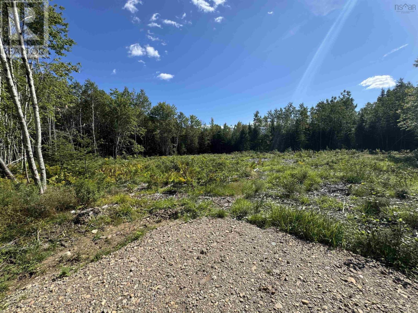 Lot 3 Wittenburg Road, Wittenburg, Nova Scotia  B0N 2J0 - Photo 3 - 202421606