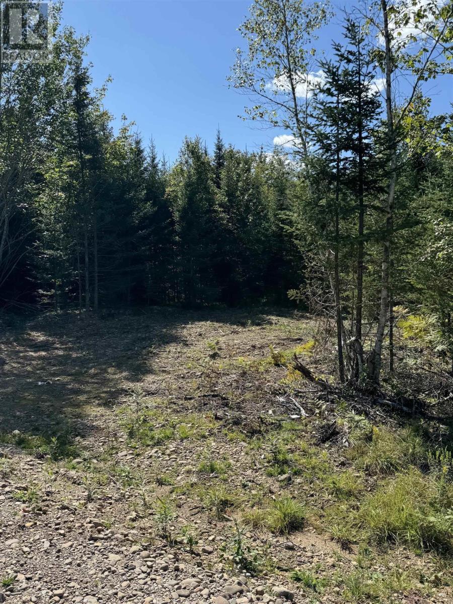 Lot 3 Wittenburg Road, Wittenburg, Nova Scotia  B0N 2J0 - Photo 4 - 202421606