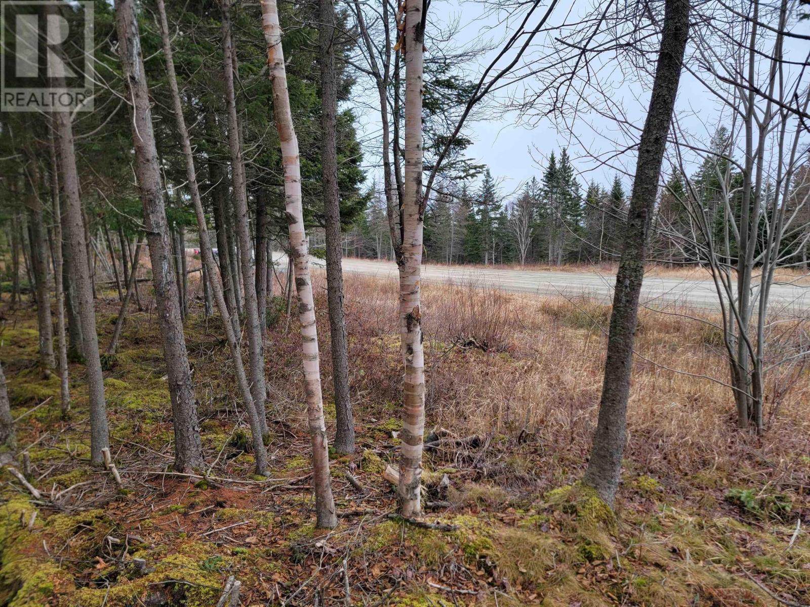 Lot 7 Mountain Road, river tillard, Nova Scotia