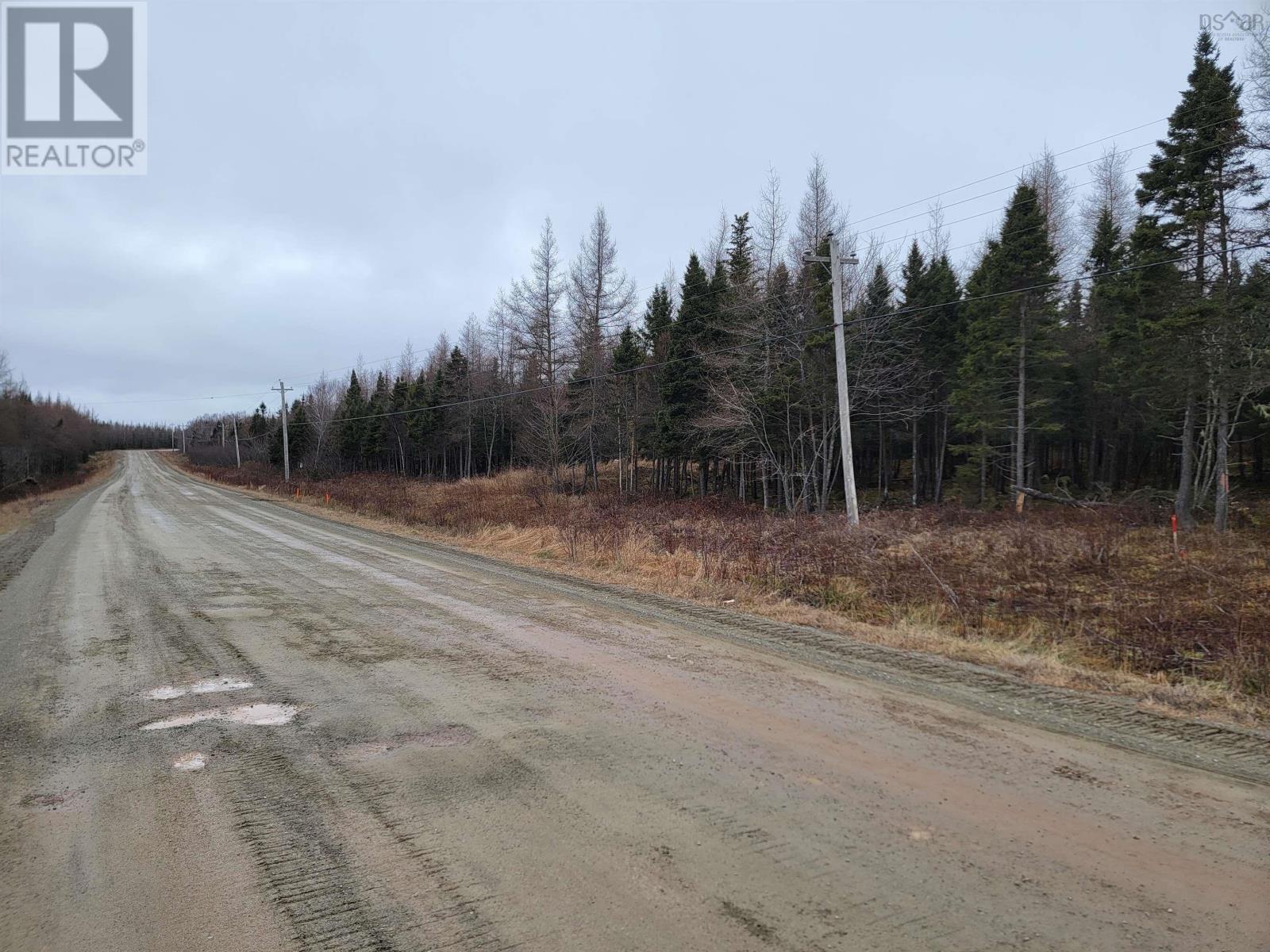 Lot 7 Mountain Road, River Tillard, Nova Scotia  B0E 2X0 - Photo 10 - 202421646