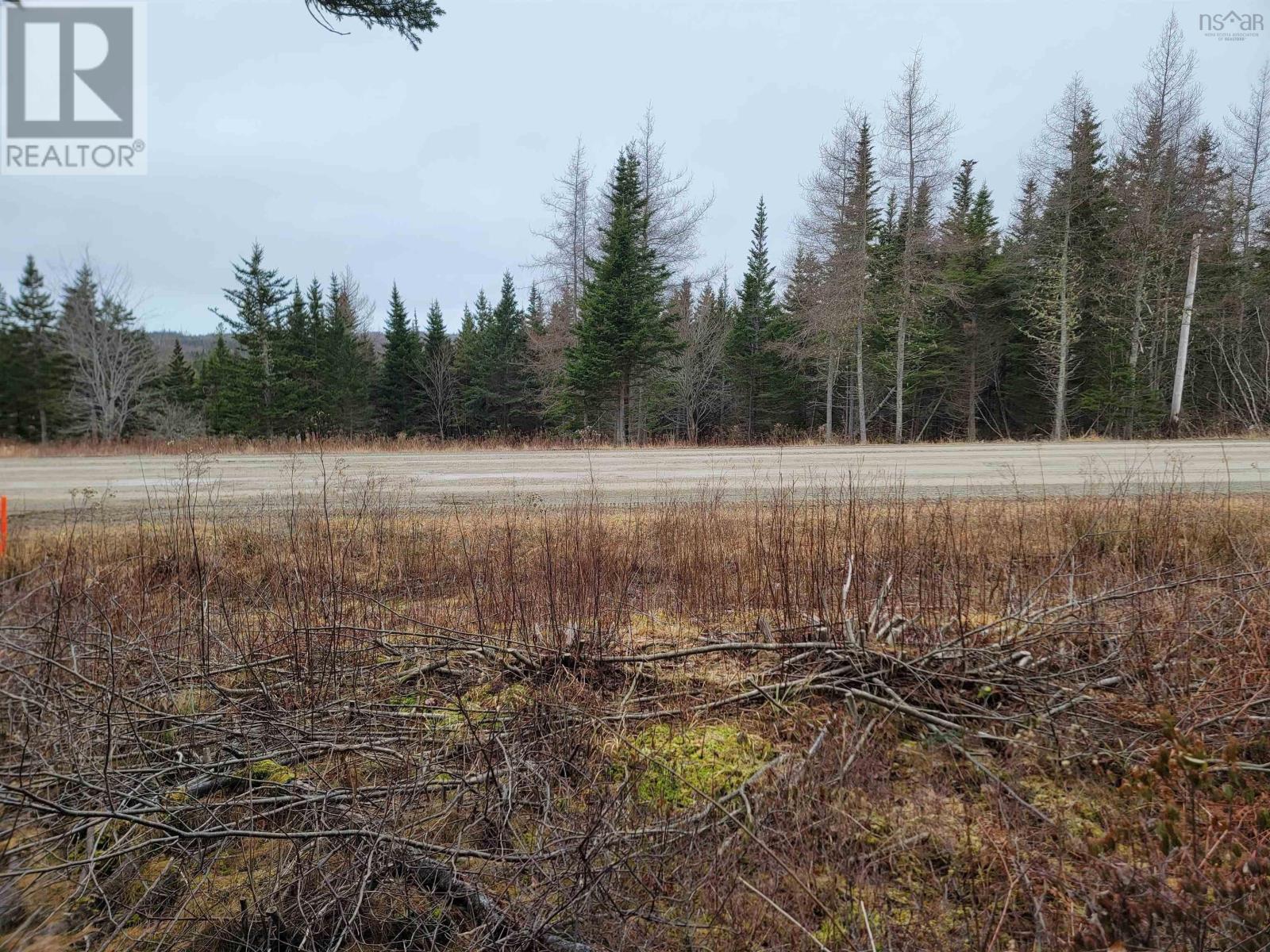 Lot 7 Mountain Road, River Tillard, Nova Scotia  B0E 2X0 - Photo 11 - 202421646