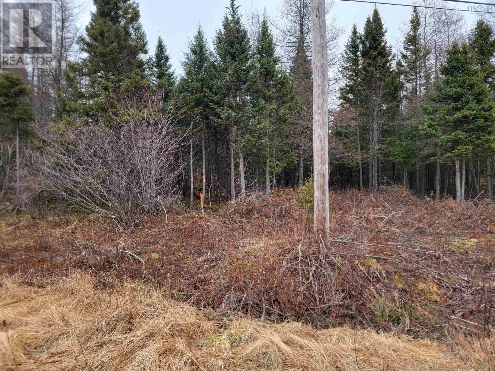 Lot 7 Mountain Road, River Tillard, Nova Scotia  B0E 2X0 - Photo 15 - 202421646