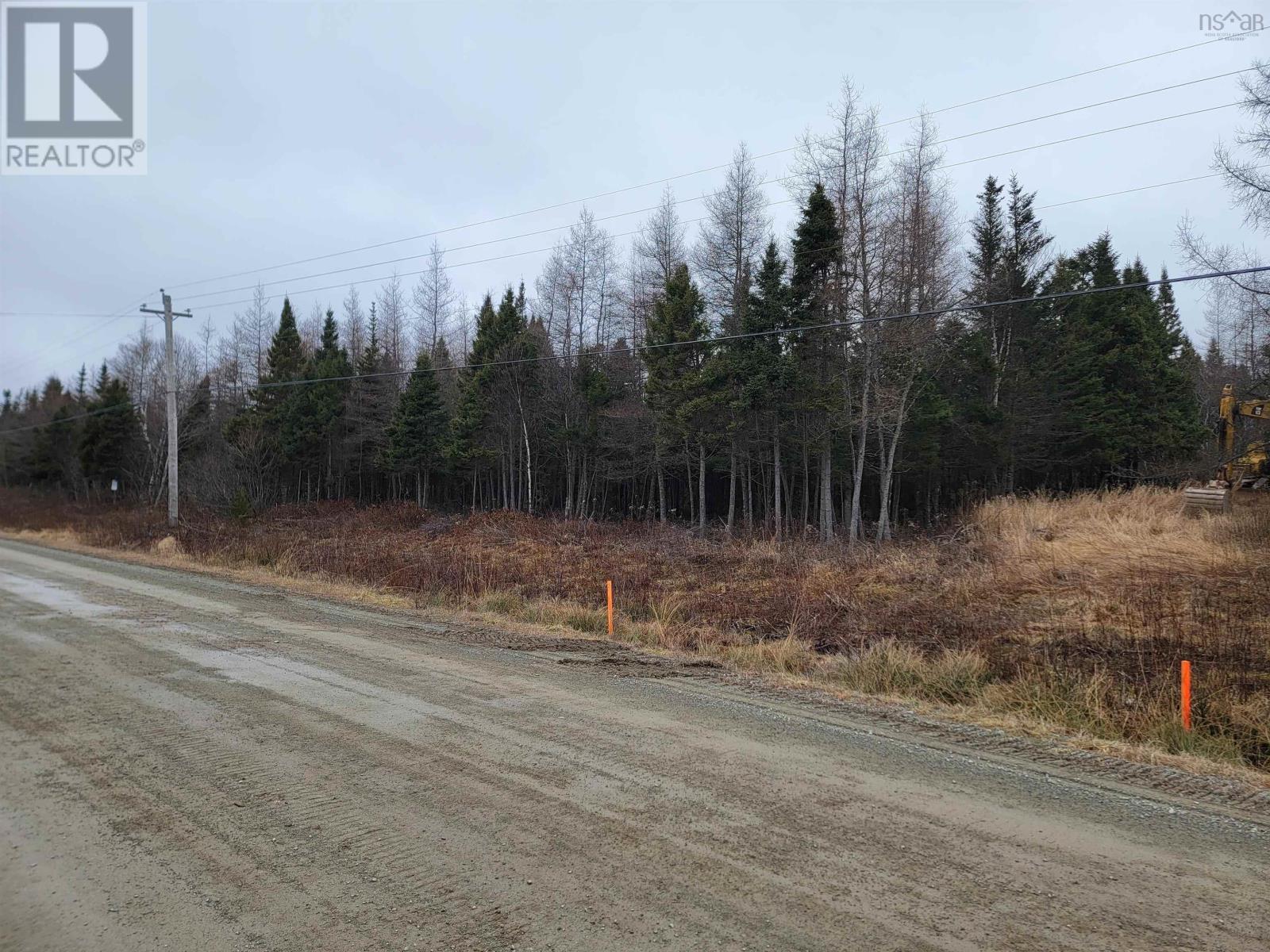 Lot 7 Mountain Road, River Tillard, Nova Scotia  B0E 2X0 - Photo 18 - 202421646