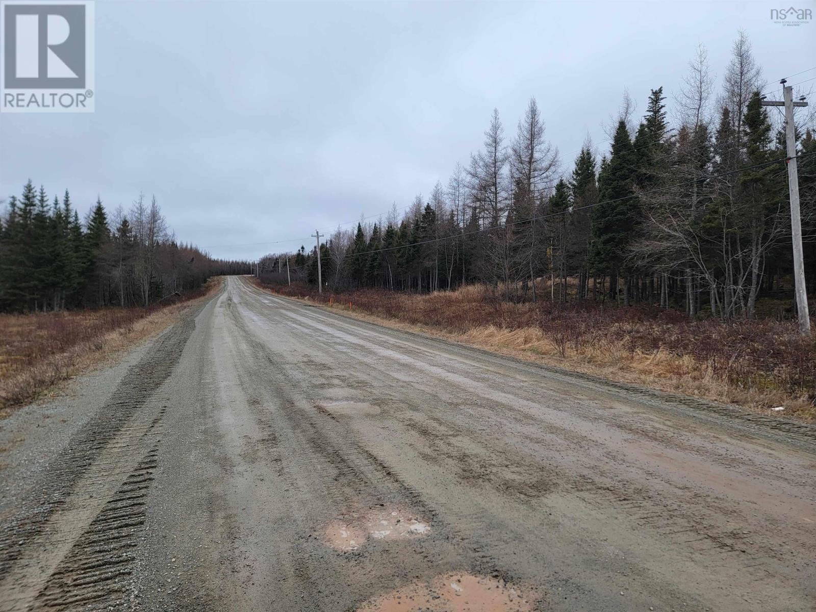 Lot 7 Mountain Road, River Tillard, Nova Scotia  B0E 2X0 - Photo 19 - 202421646