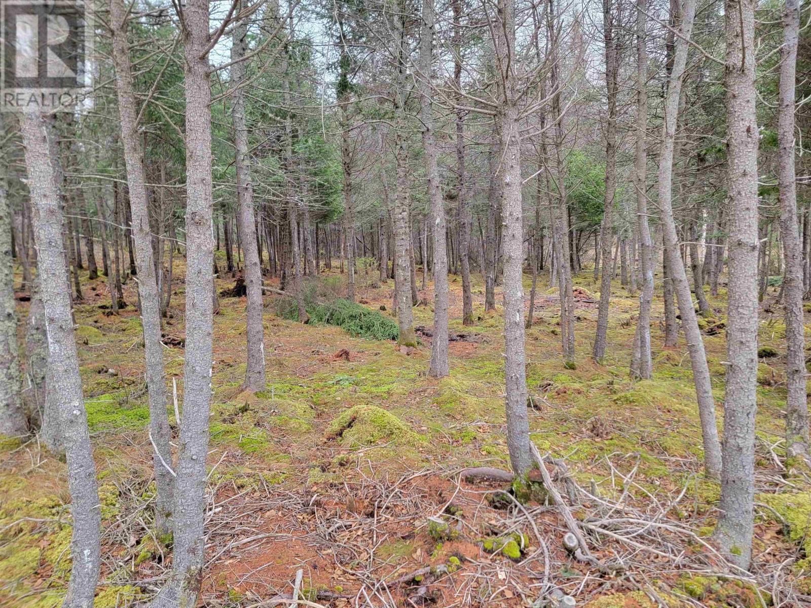 Lot 7 Mountain Road, River Tillard, Nova Scotia  B0E 2X0 - Photo 3 - 202421646