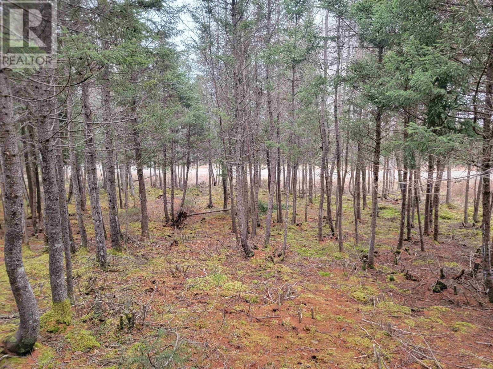 Lot 7 Mountain Road, River Tillard, Nova Scotia  B0E 2X0 - Photo 5 - 202421646