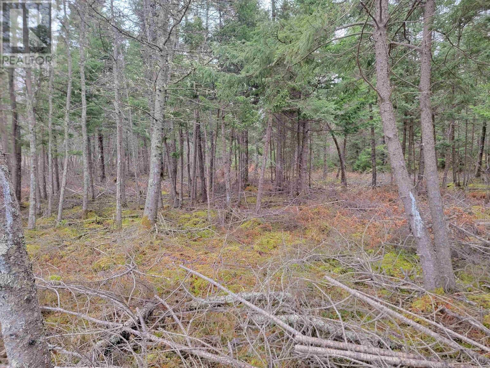 Lot 7 Mountain Road, River Tillard, Nova Scotia  B0E 2X0 - Photo 7 - 202421646