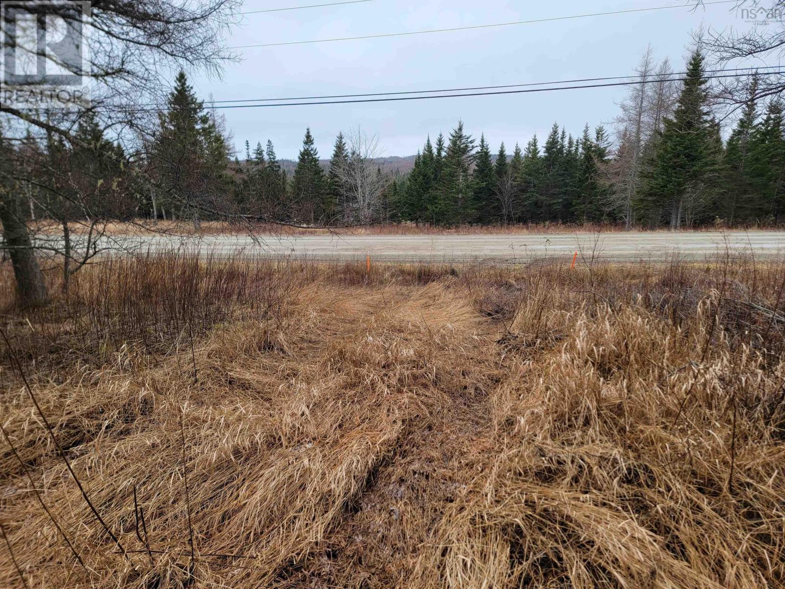 Lot 7 Mountain Road, River Tillard, Nova Scotia  B0E 2X0 - Photo 9 - 202421646