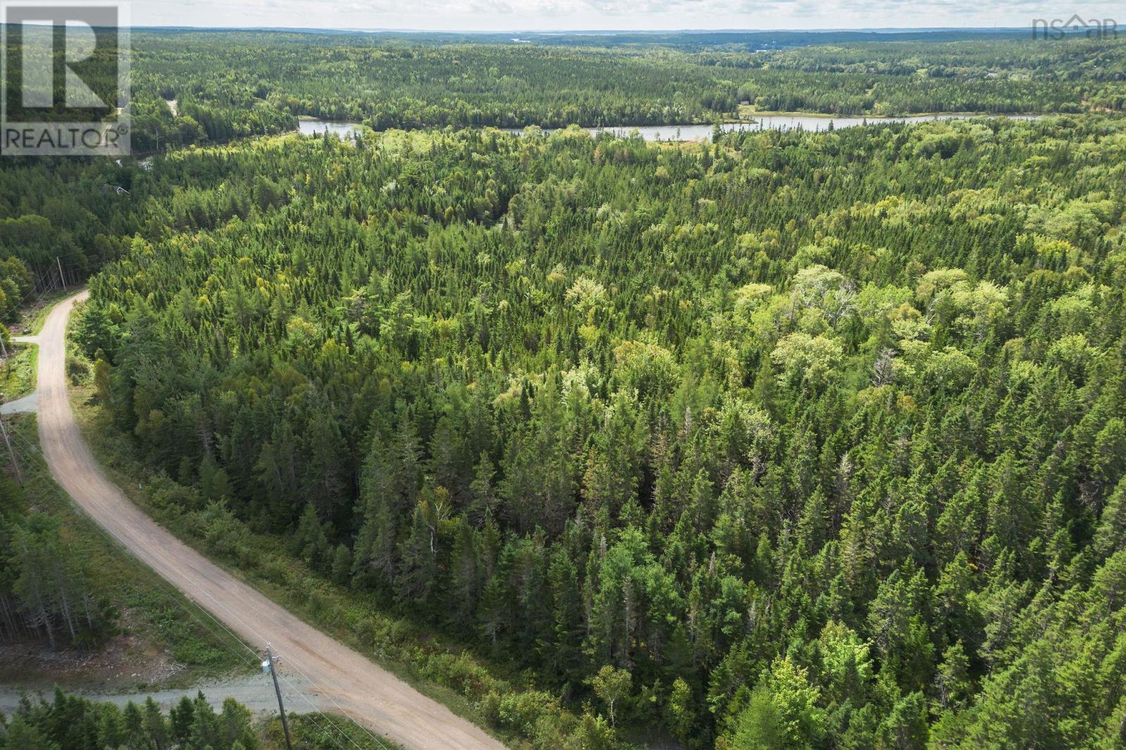 Lot 17 Helmuts Lane, Cleveland, Nova Scotia  B0E 1J0 - Photo 13 - 202421656