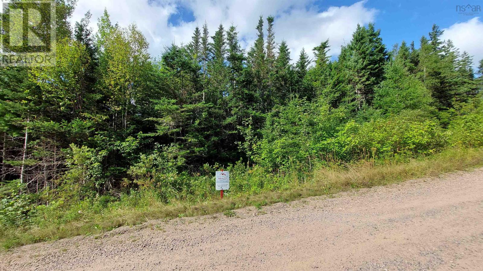 Lot 17 Helmuts Lane, Cleveland, Nova Scotia  B0E 1J0 - Photo 5 - 202421656