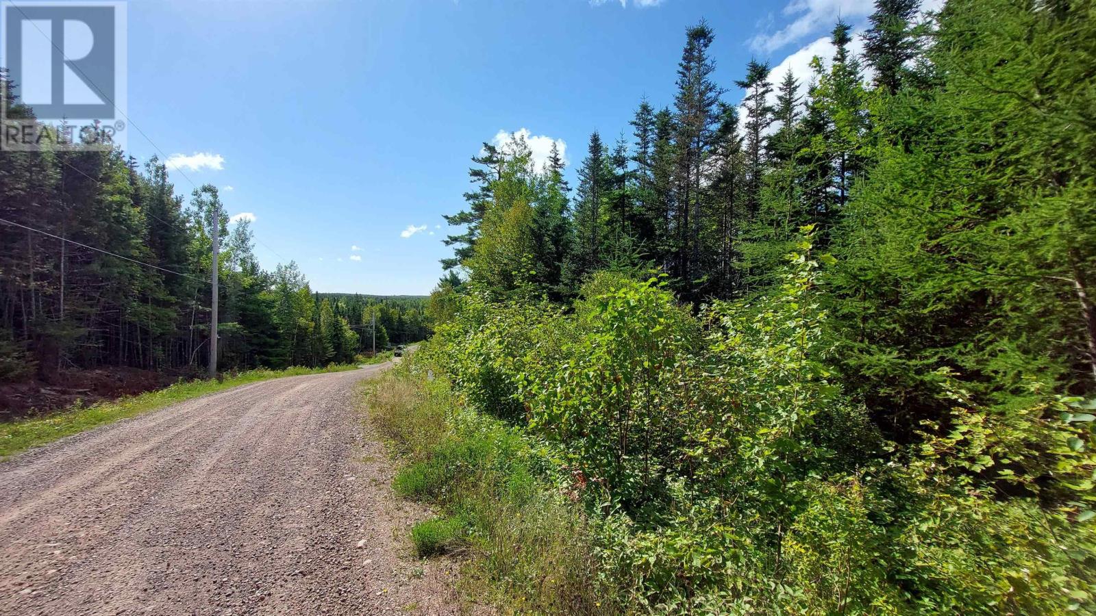 Lot 17 Helmuts Lane, Cleveland, Nova Scotia  B0E 1J0 - Photo 8 - 202421656