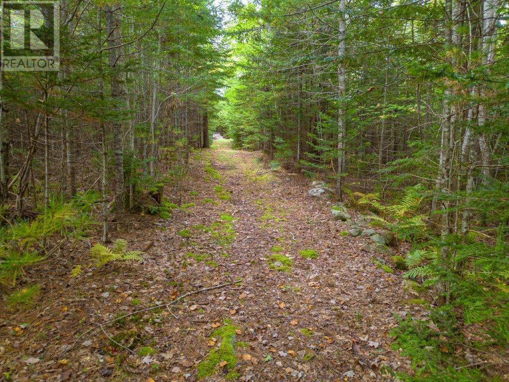 12 Falls Lane, Shelburne, Nova Scotia  B0T 1W0 - Photo 30 - 202421710