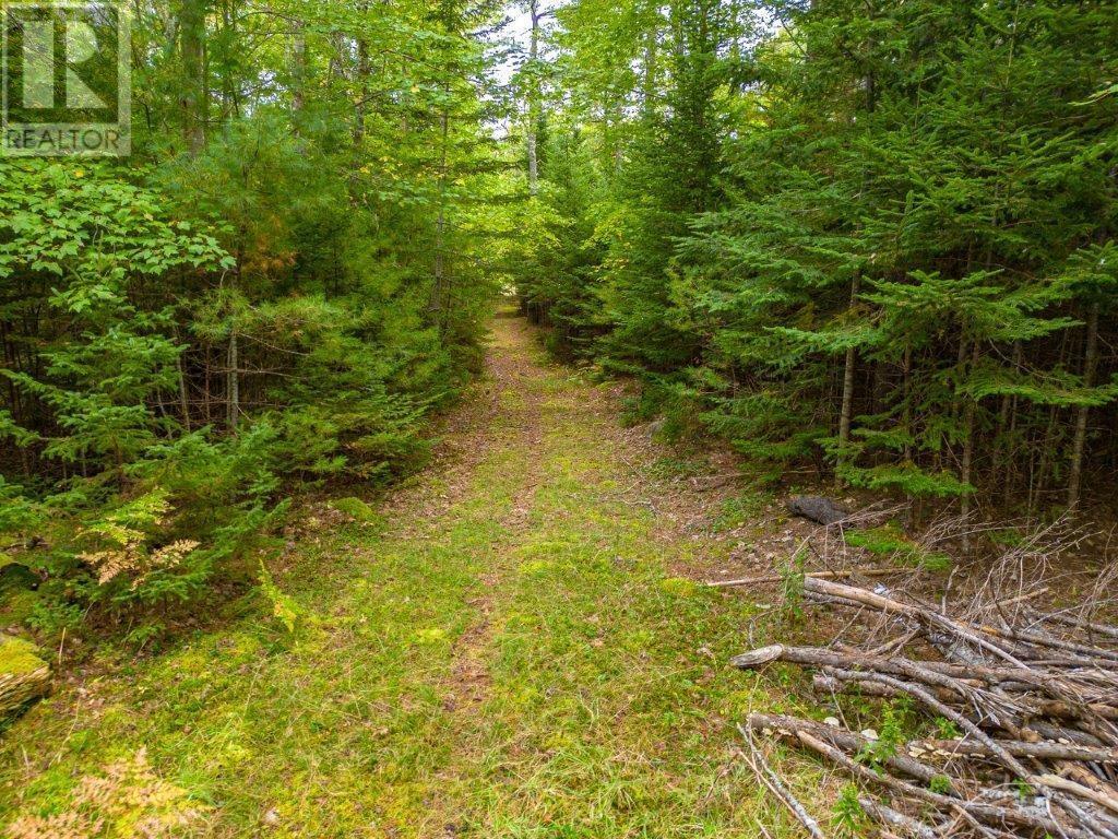 12 Falls Lane, Shelburne, Nova Scotia  B0T 1W0 - Photo 31 - 202421710