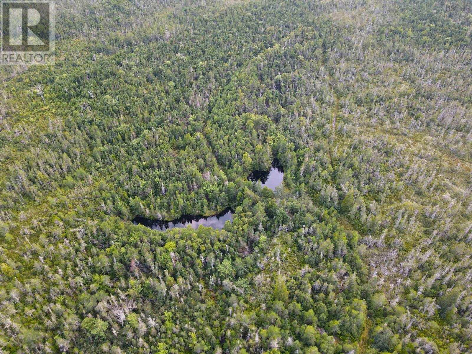 631 Moser River North Road, Moser River, Nova Scotia  B0J 2K0 - Photo 4 - 202421767