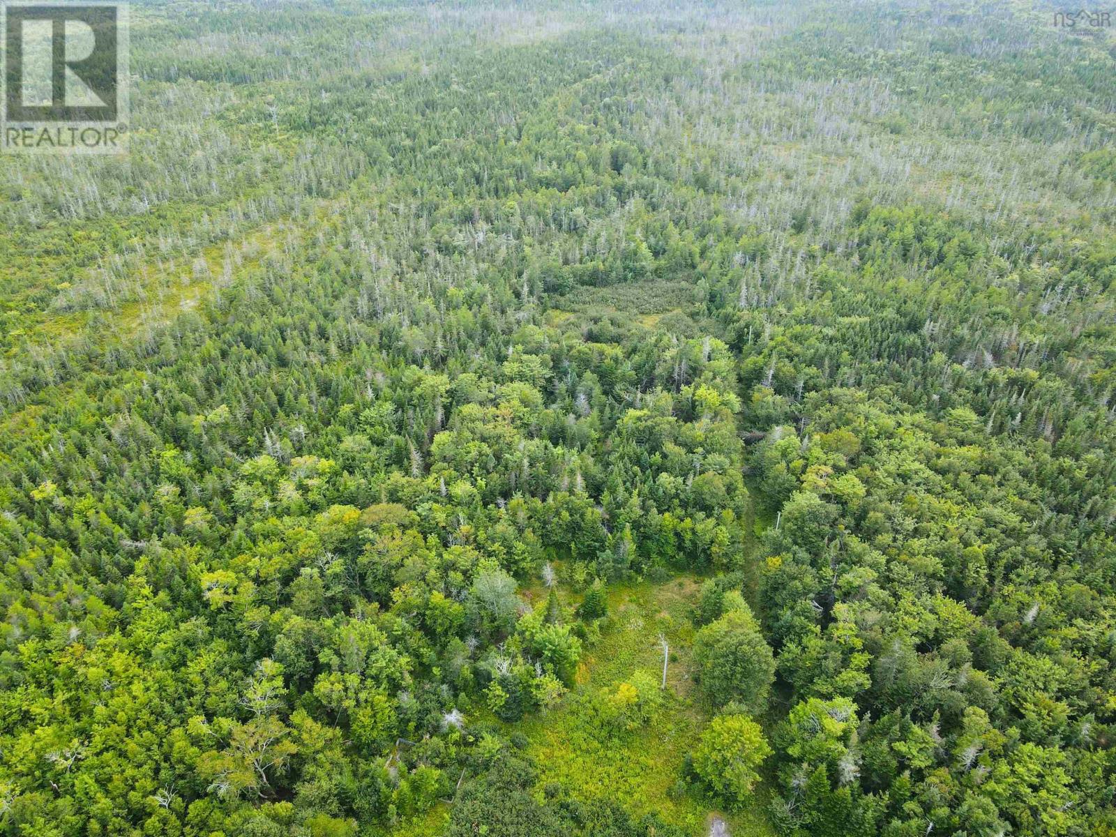 631 Moser River North Road, Moser River, Nova Scotia  B0J 2K0 - Photo 5 - 202421767