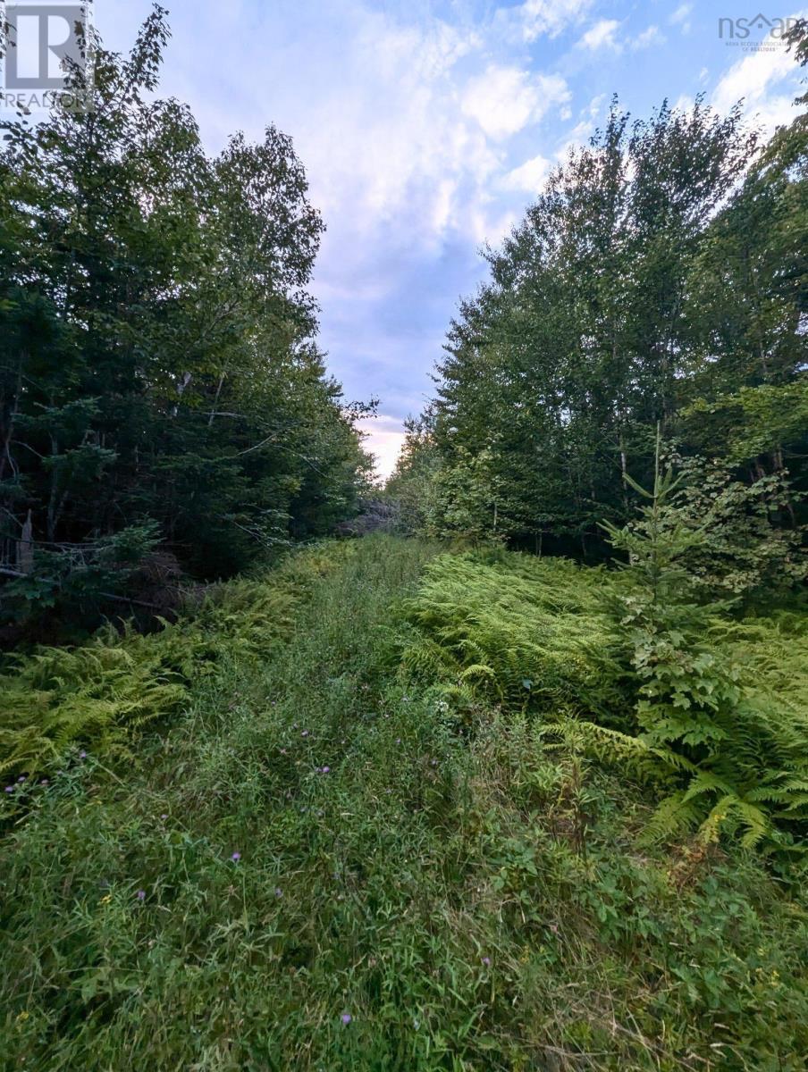 631 Moser River North Road, Moser River, Nova Scotia  B0J 2K0 - Photo 7 - 202421767