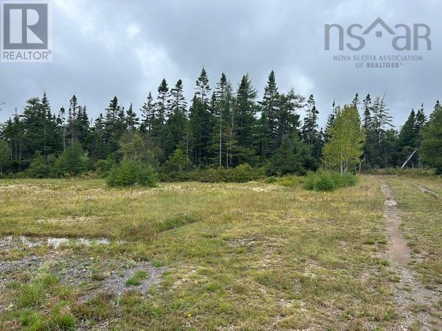 Lot 9 468 West Side Loch Lomond Road, Loch Lomond, Nova Scotia  B0A 1H0 - Photo 26 - 202421867