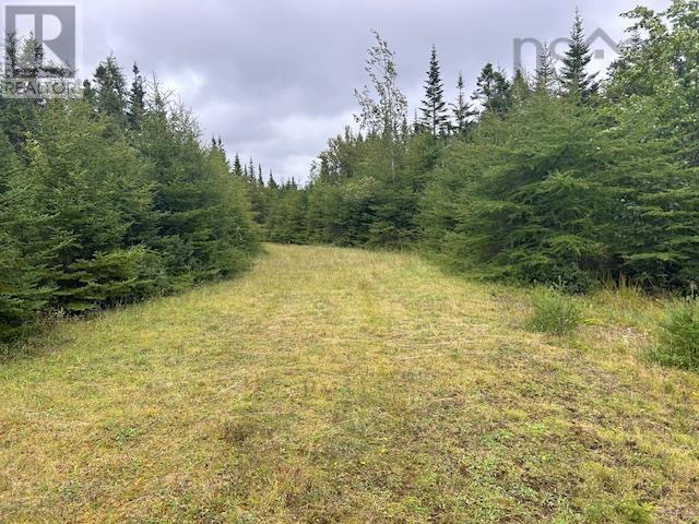 Lot 9 468 West Side Loch Lomond Road, Loch Lomond, Nova Scotia  B0A 1H0 - Photo 27 - 202421867