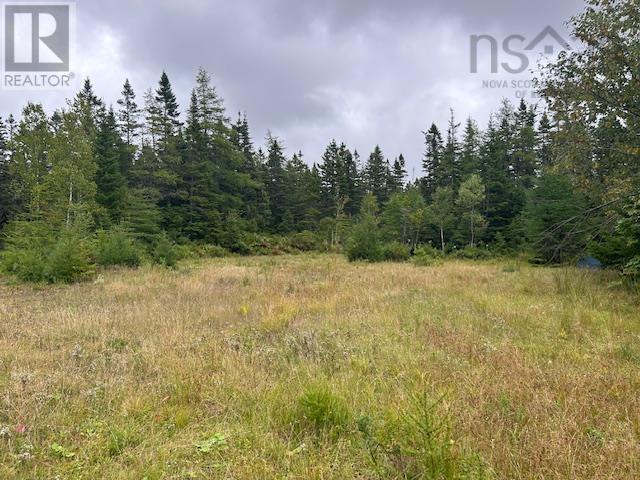 Lot 9 468 West Side Loch Lomond Road, Loch Lomond, Nova Scotia  B0A 1H0 - Photo 28 - 202421867