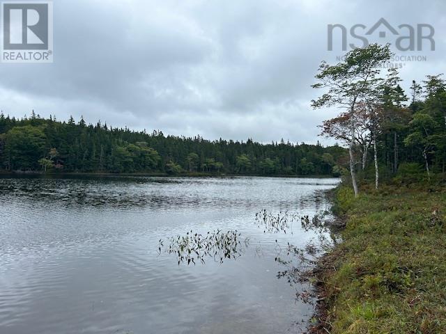 Lot 9 468 West Side Loch Lomond Road, Loch Lomond, Nova Scotia  B0A 1H0 - Photo 5 - 202421867