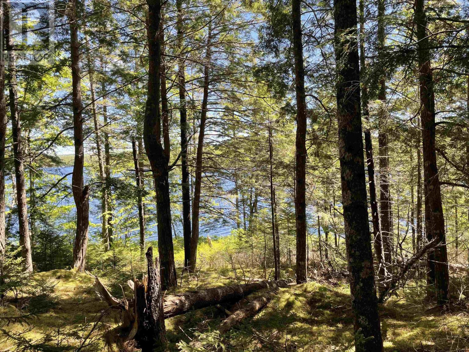 Lot 1 Grant Lake Road, Chester Grant, Nova Scotia  B0J 1K0 - Photo 2 - 202421913