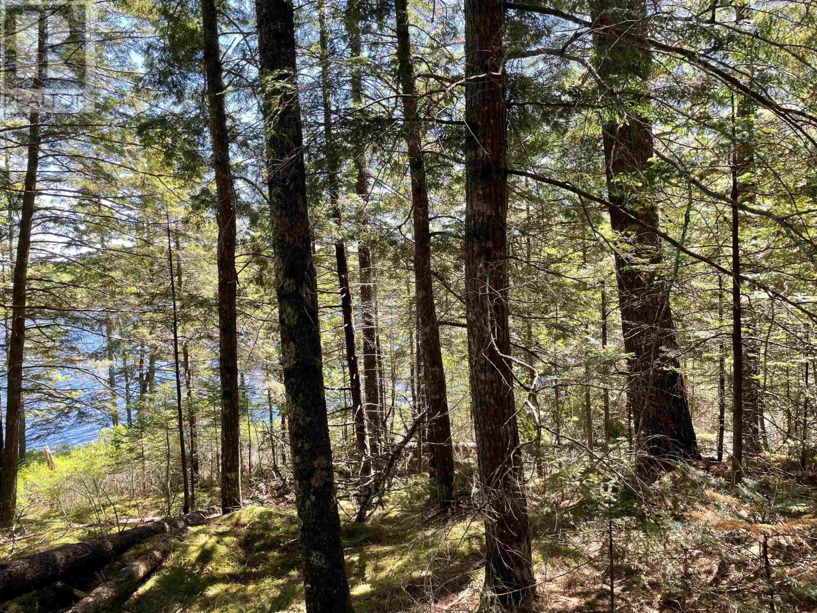 Lot 1 Grant Lake Road, Chester Grant, Nova Scotia  B0J 1K0 - Photo 3 - 202421913