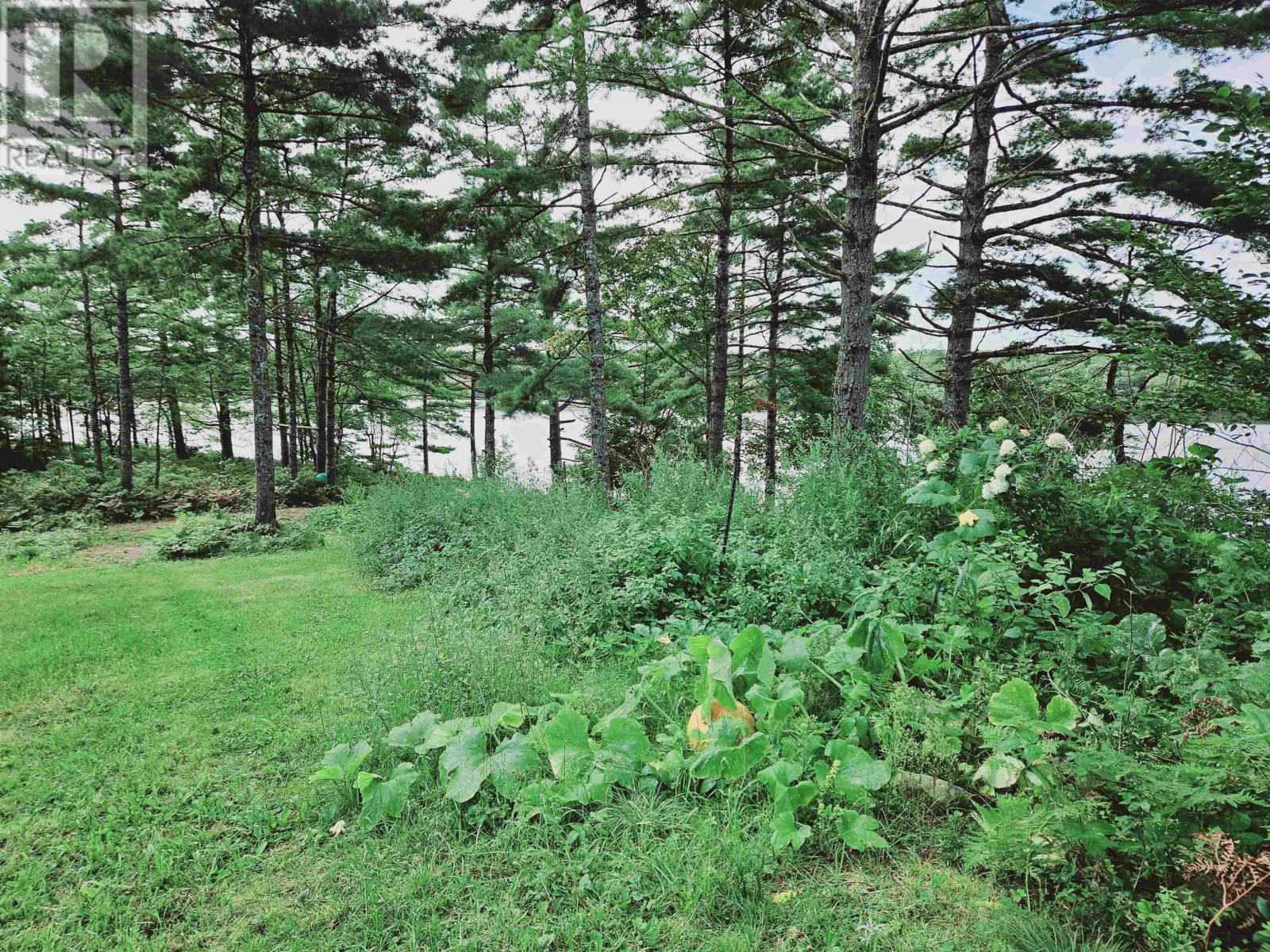 236 Canoe Lake Estates Road, East Quinan, Nova Scotia  B0W 2M0 - Photo 40 - 202422007