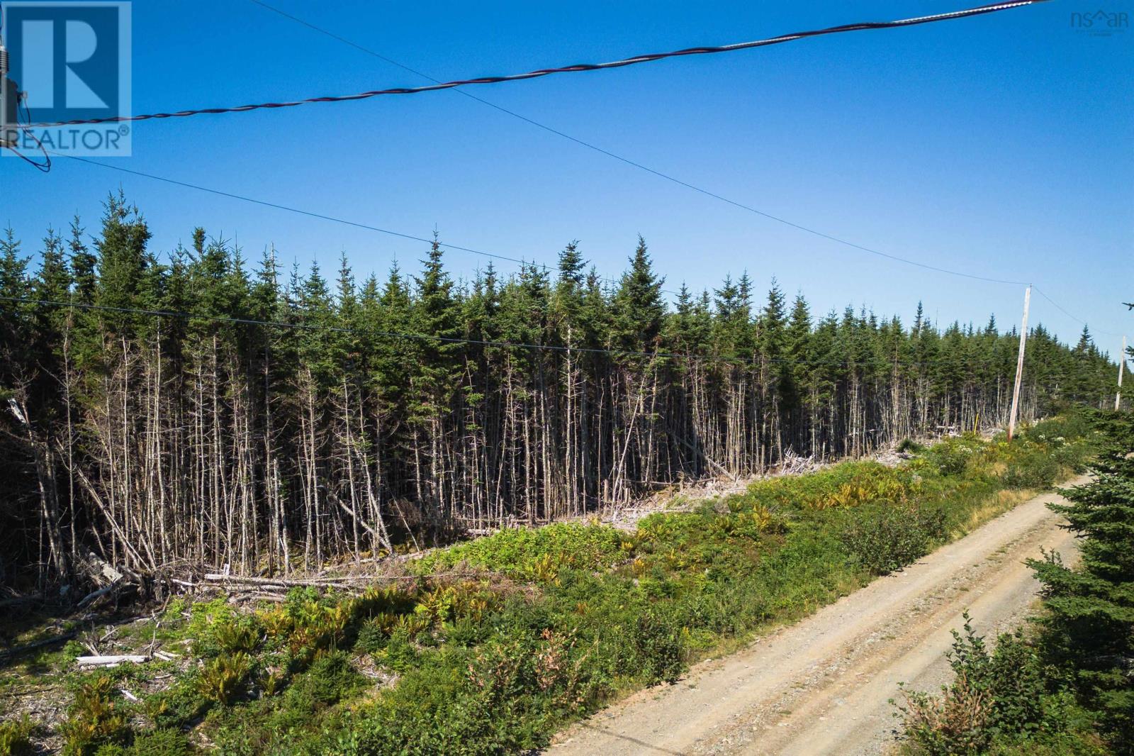 Lot 15 Bakers Road, Marie Joseph, Nova Scotia  B0J 2G0 - Photo 28 - 202422089