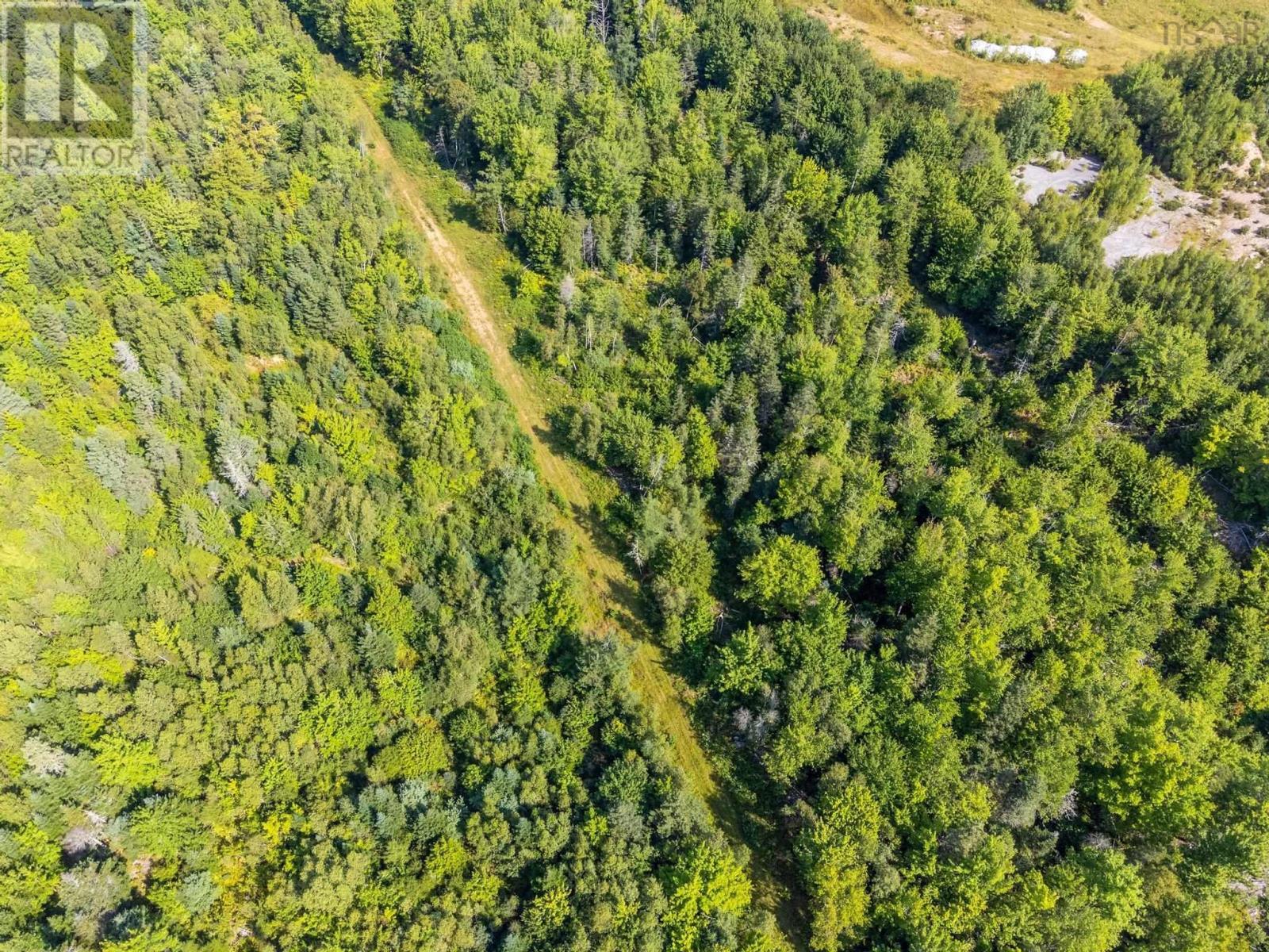 Highway 101, Centrelea, Nova Scotia  B0S 1C0 - Photo 21 - 202422095