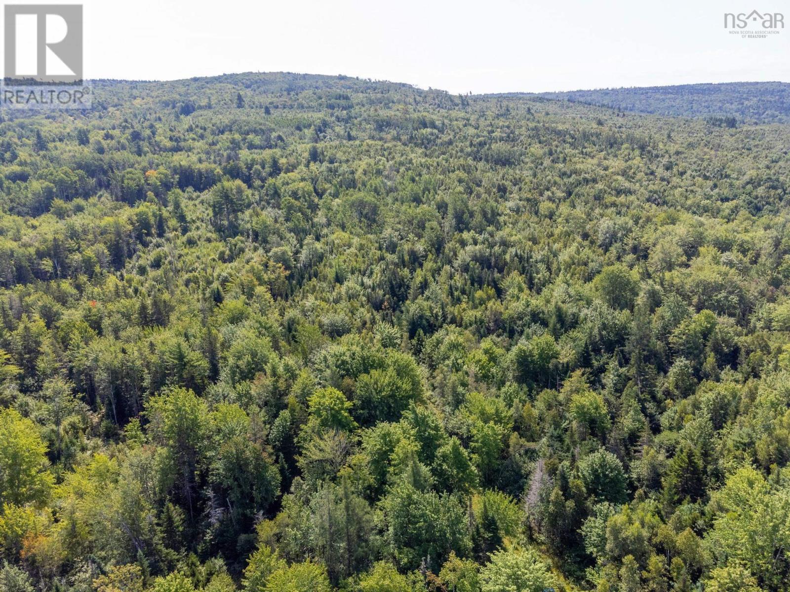 Highway 101, Centrelea, Nova Scotia  B0S 1C0 - Photo 47 - 202422095