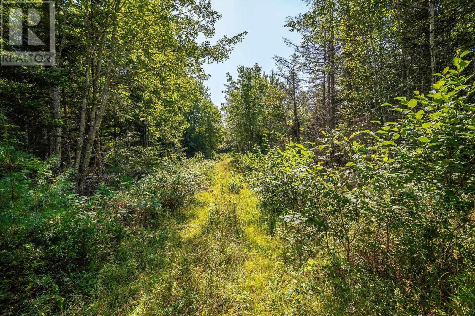 Highway 101, Centrelea, Nova Scotia  B0S 1C0 - Photo 50 - 202422095