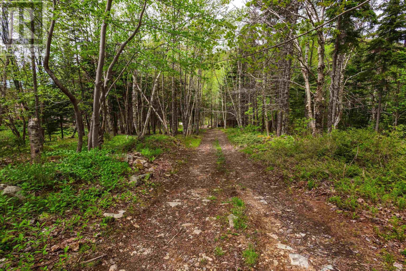 47403 Cabot Trail, Tarbotvale, Nova Scotia  B0C 1H0 - Photo 34 - 202422121