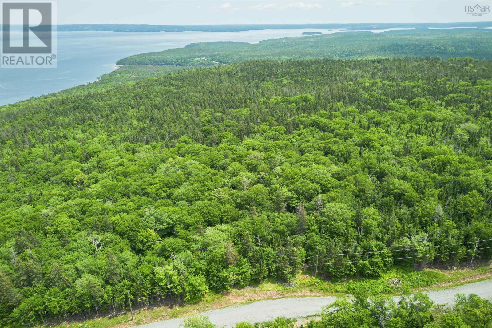 Lot 9 Leo's Lane, Roberta, Nova Scotia  B0E 3K0 - Photo 11 - 202422125