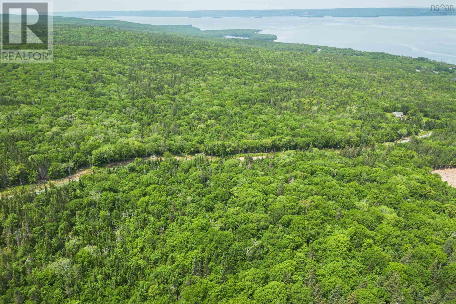 Lot 9 Leo's Lane, Roberta, Nova Scotia  B0E 3K0 - Photo 12 - 202422125