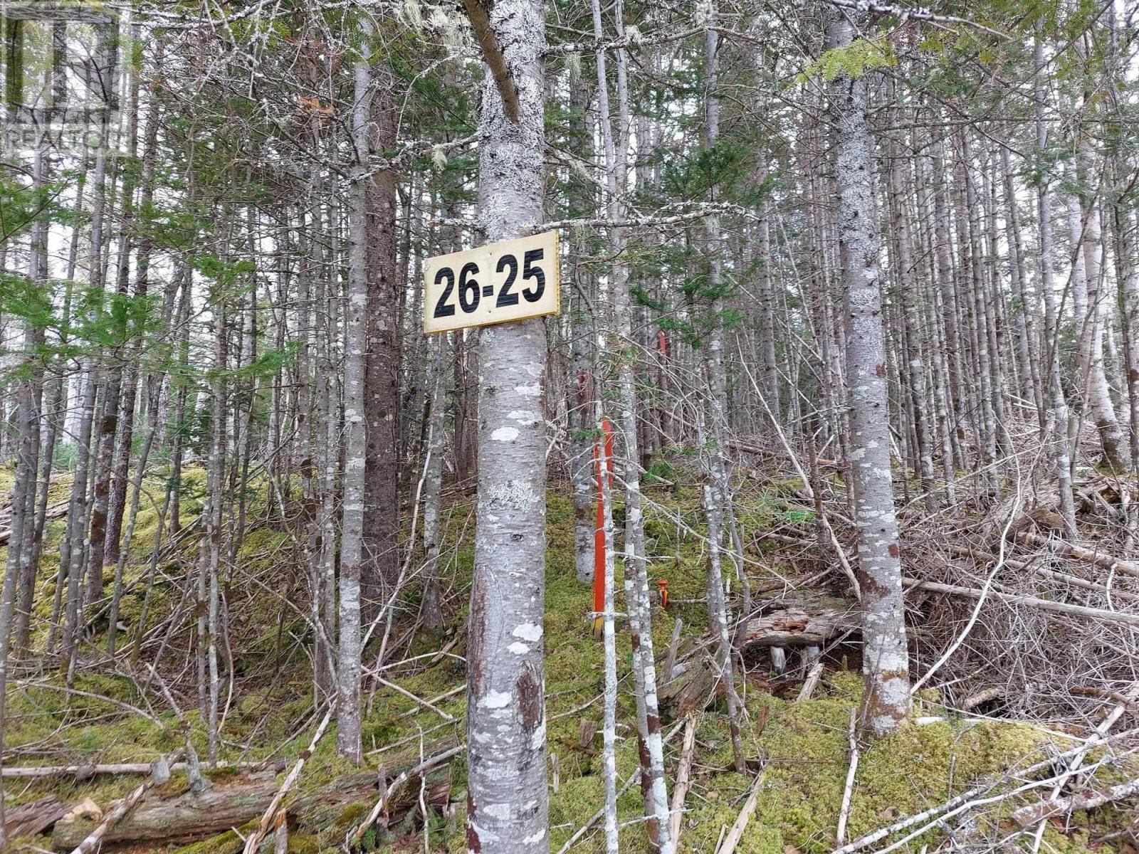 Lot 26 Andreas Popp Ln., Evanston, Nova Scotia  B0E 1J0 - Photo 12 - 202422138