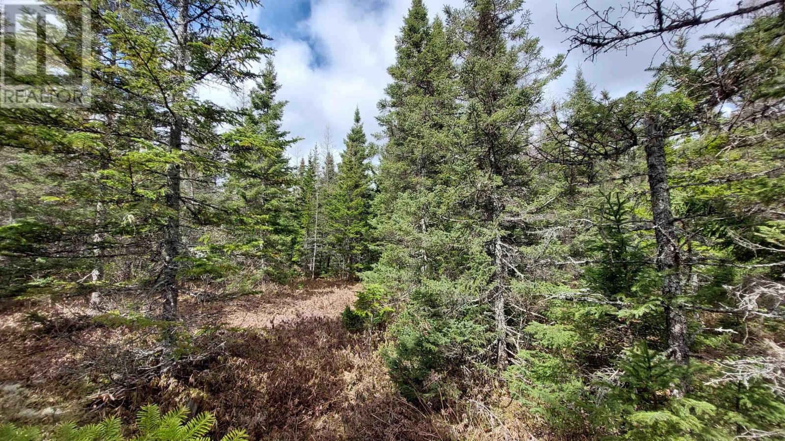 Lot 26 Andreas Popp Ln., Evanston, Nova Scotia  B0E 1J0 - Photo 13 - 202422138