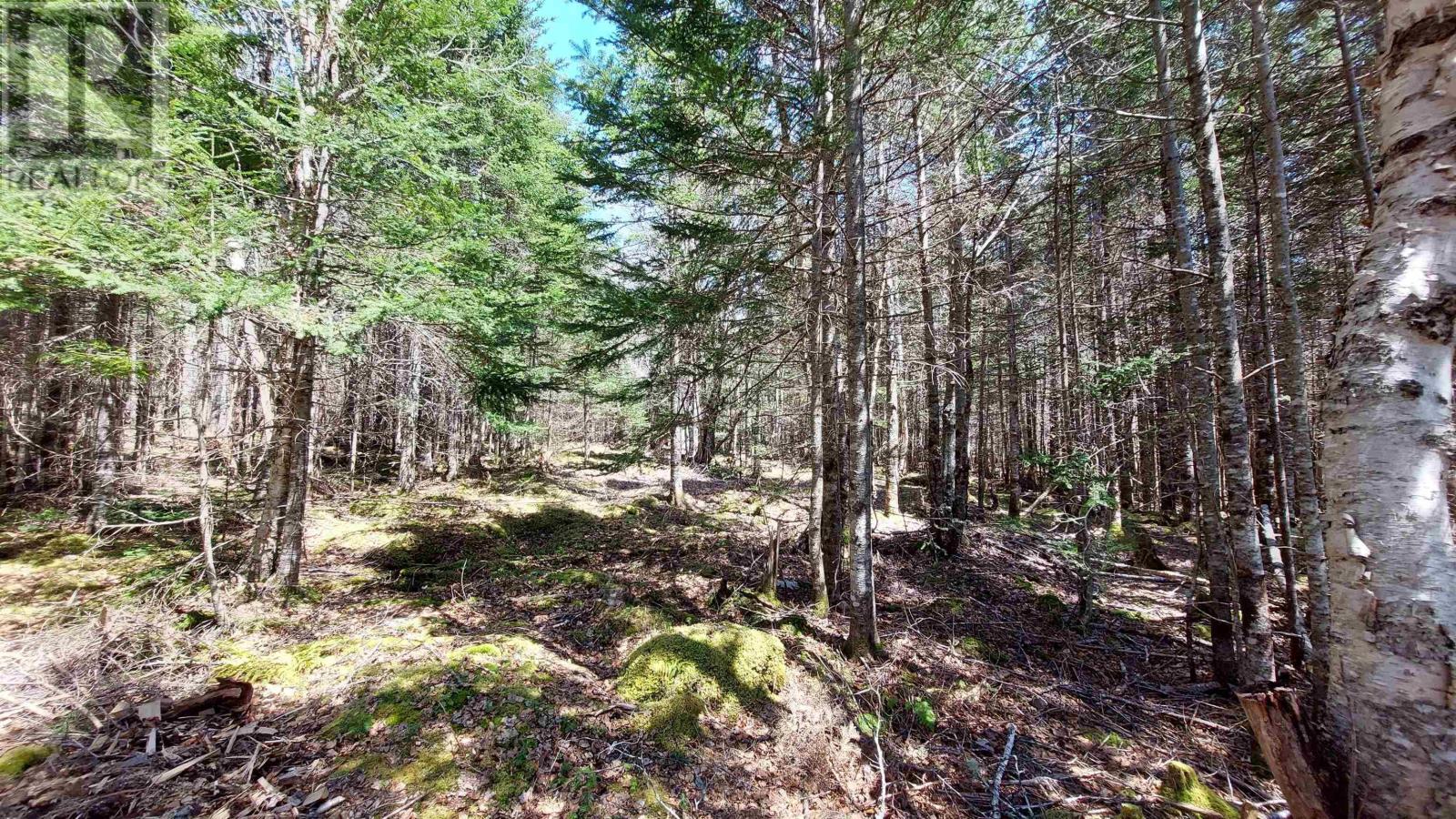 Lot 26 Andreas Popp Ln., Evanston, Nova Scotia  B0E 1J0 - Photo 8 - 202422138