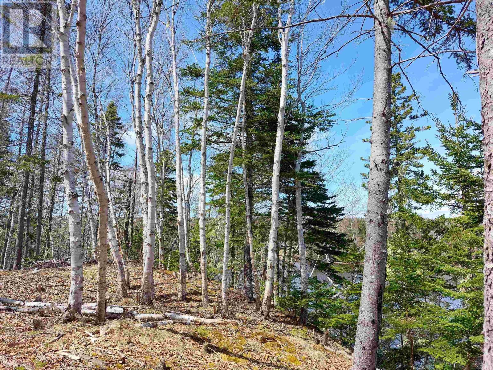 Lot 21a Jonathan R Bouman Ln, Evanston, Nova Scotia  B0E 1J0 - Photo 15 - 202422143