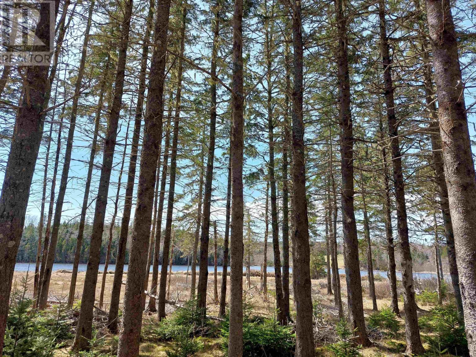 Lot 21a Jonathan R Bouman Ln, Evanston, Nova Scotia  B0E 1J0 - Photo 17 - 202422143