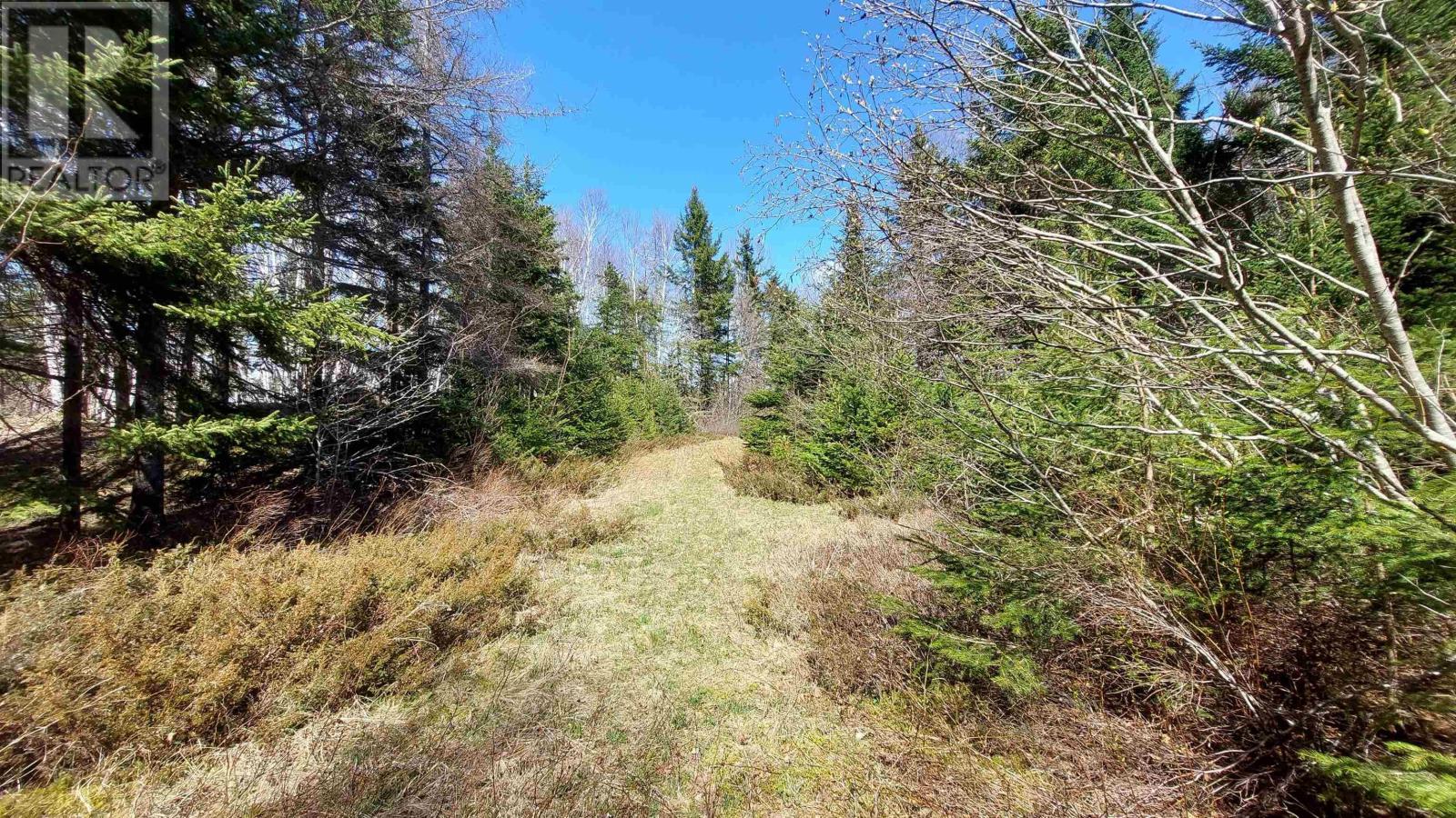 Lot 21a Jonathan R Bouman Ln, Evanston, Nova Scotia  B0E 1J0 - Photo 6 - 202422143