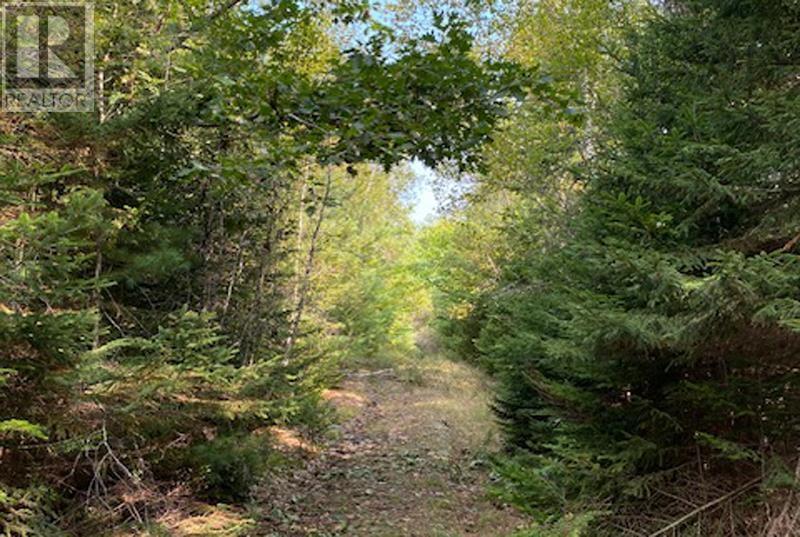 Conquerall Road, Conquerall Mills, Nova Scotia  B4V 6C5 - Photo 10 - 202422213