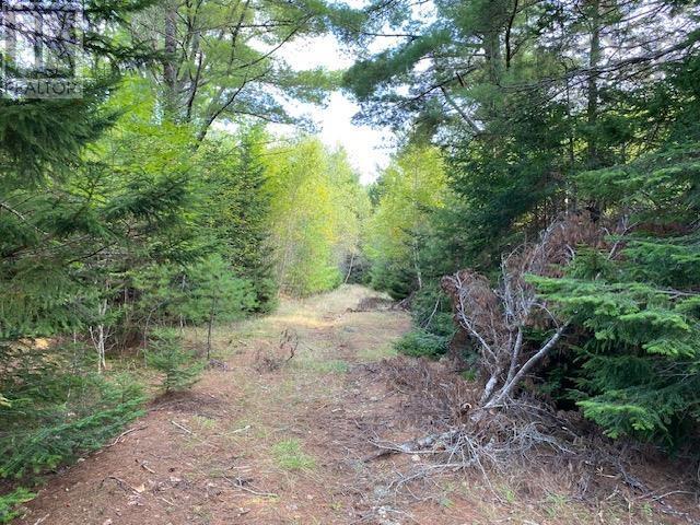 Conquerall Road, Conquerall Mills, Nova Scotia  B4V 6C5 - Photo 6 - 202422213