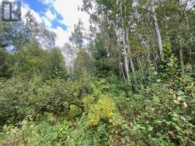 Lot 104 Highway, Linacy, Nova Scotia  B2H 5C4 - Photo 2 - 202422266