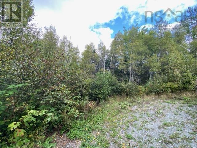 Lot 104 Highway, Linacy, Nova Scotia  B2H 5C4 - Photo 3 - 202422266