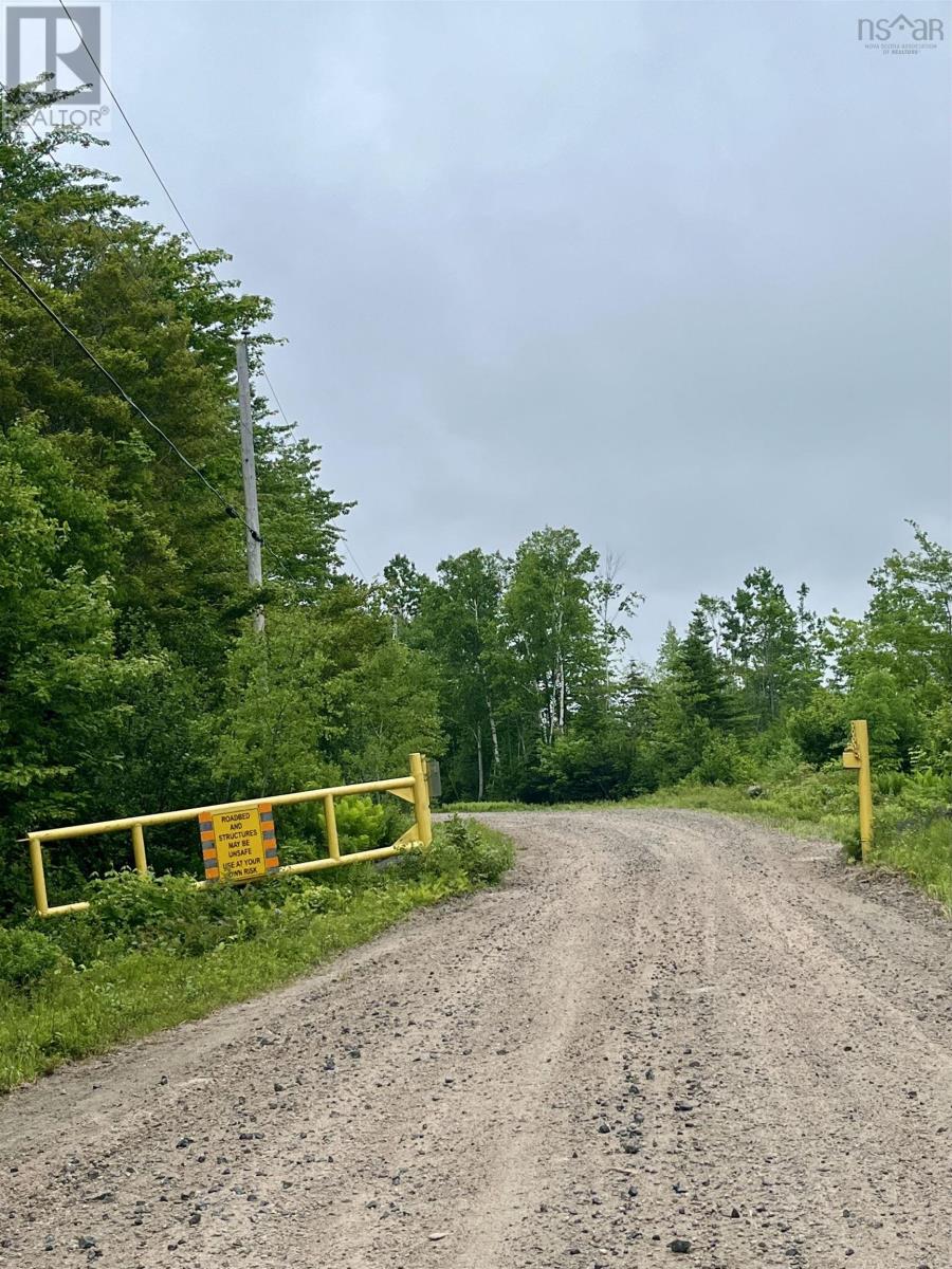 Lot 49 Turner Point Drive, Turner Point, Walden, Nova Scotia  B0J 2E0 - Photo 11 - 202422285