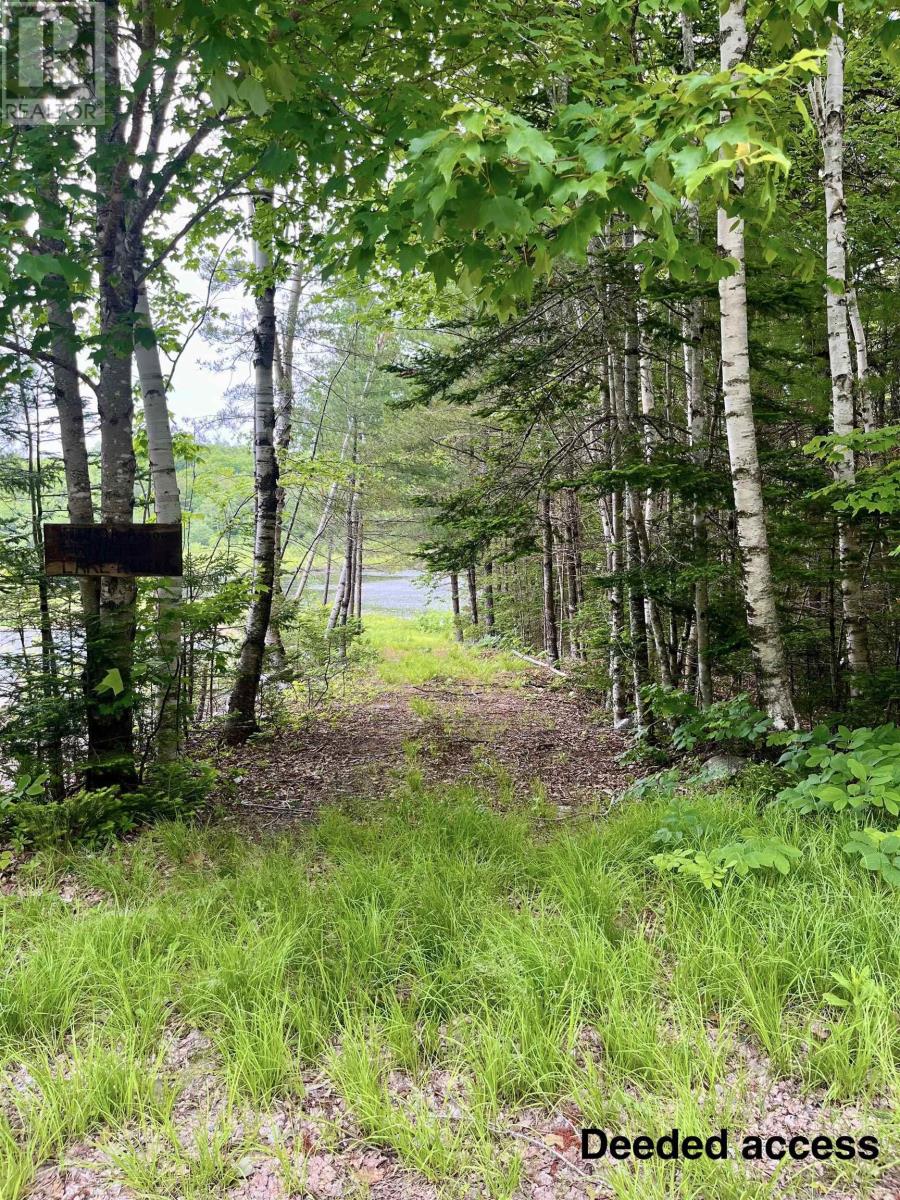 Lot 49 Turner Point Drive, Turner Point, Walden, Nova Scotia  B0J 2E0 - Photo 3 - 202422285