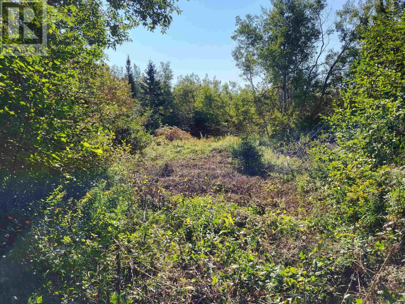 Mary Jane Riley Road, Bear River East, Nova Scotia  B0S 1B0 - Photo 6 - 202422292